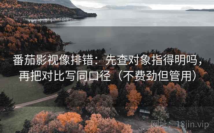 番茄影视像排错：先查对象指得明吗，再把对比写同口径（不费劲但管用）