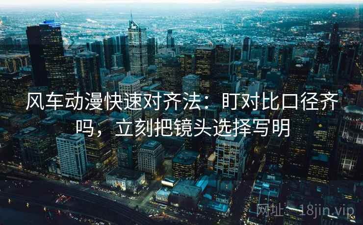 风车动漫快速对齐法：盯对比口径齐吗，立刻把镜头选择写明